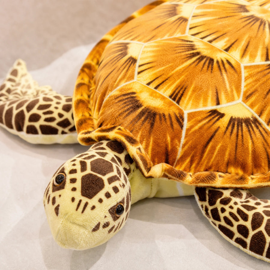 Sea Turtle Plush with Realistic Shell Pattern - Détail matière