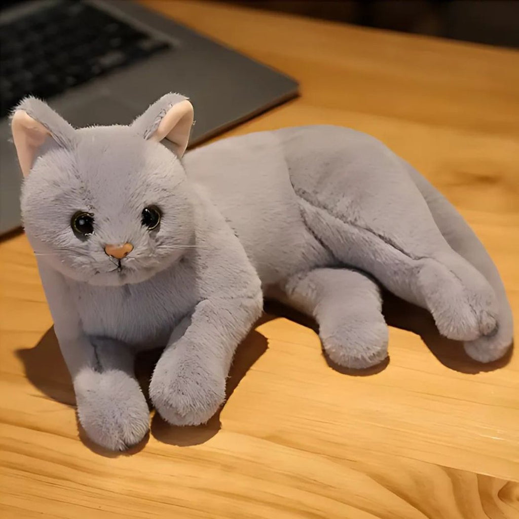 Peluche chat toute douce