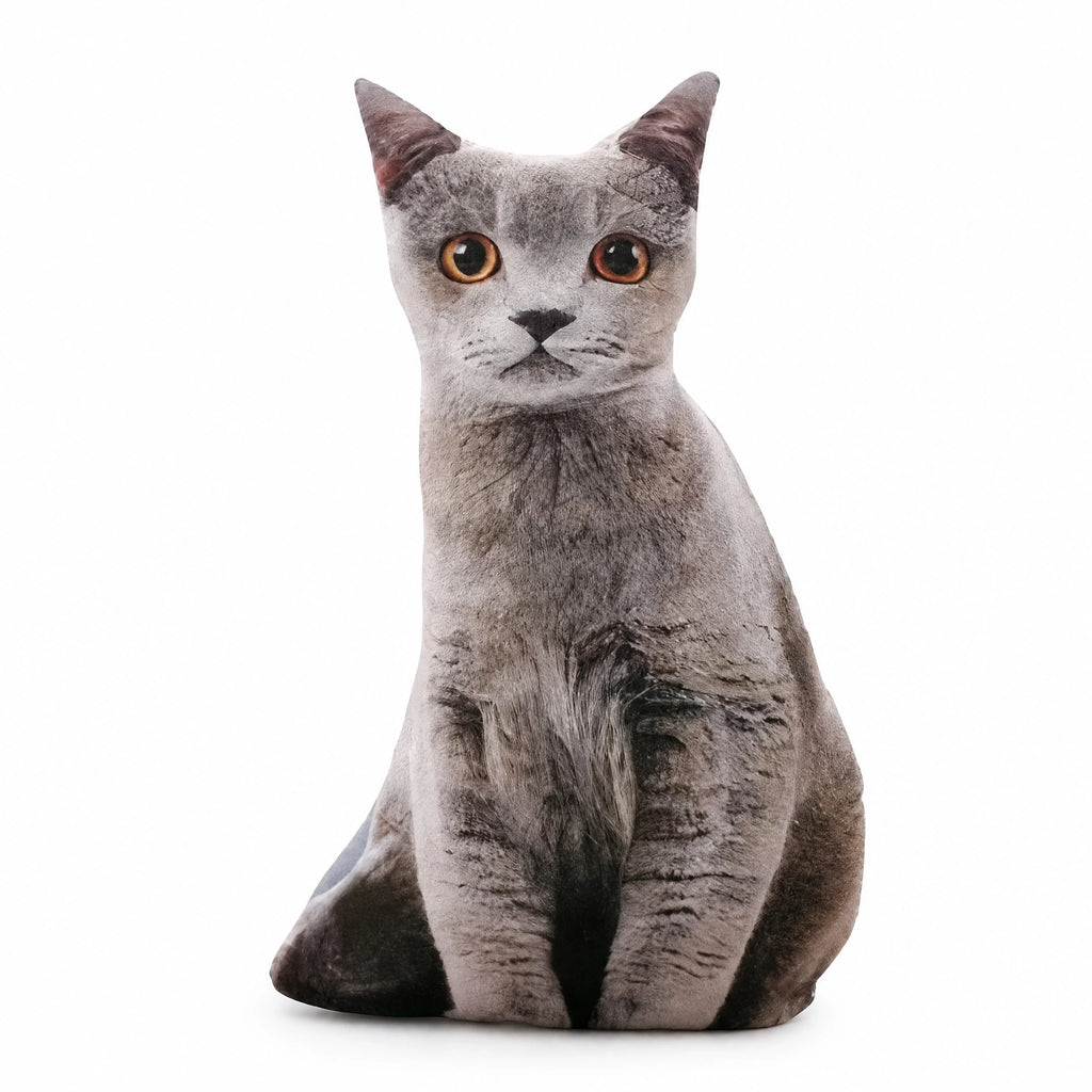 Cat Pillow Plush with Realistic Gray Tabby Design - Fond blanc