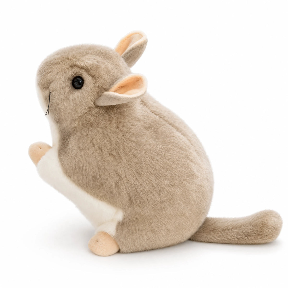 Chinchilla Plush Toy with Round Chubby Body - Fond blanc