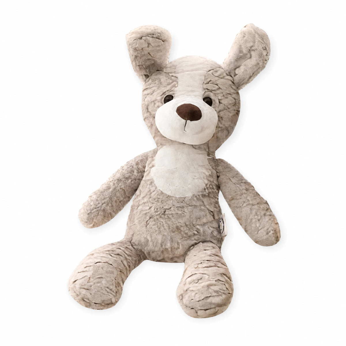 Dog Stuffed Animal with Soft Floppy Ears - Fond blanc
