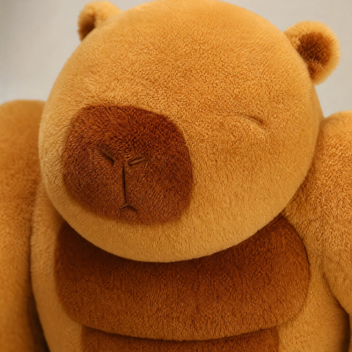 Fluffy Capybara Plush with Muscular Design - Détail matière