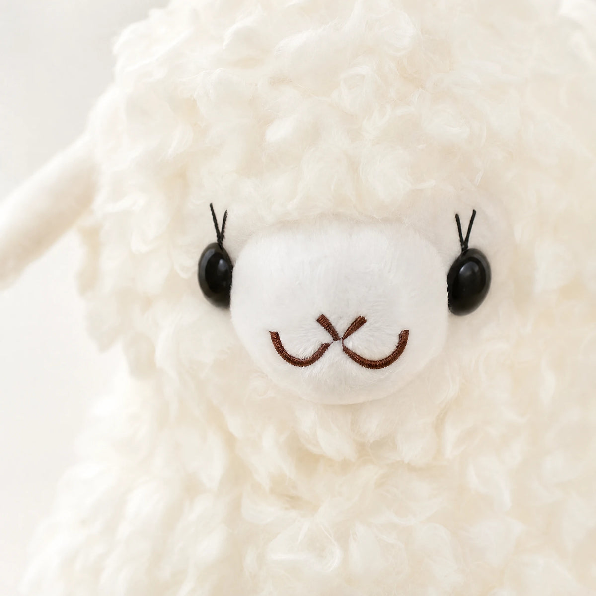 Lamb Plush with Fluffy Fleece Texture in Cream White - Détail matière
