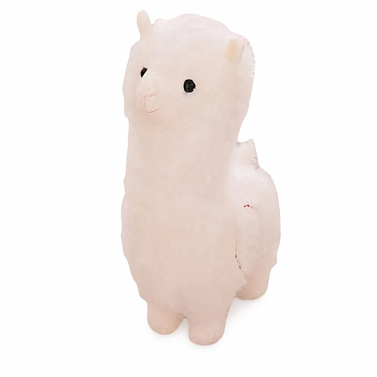 Llama Plush with Soft White and Pink Fur - Fond blanc