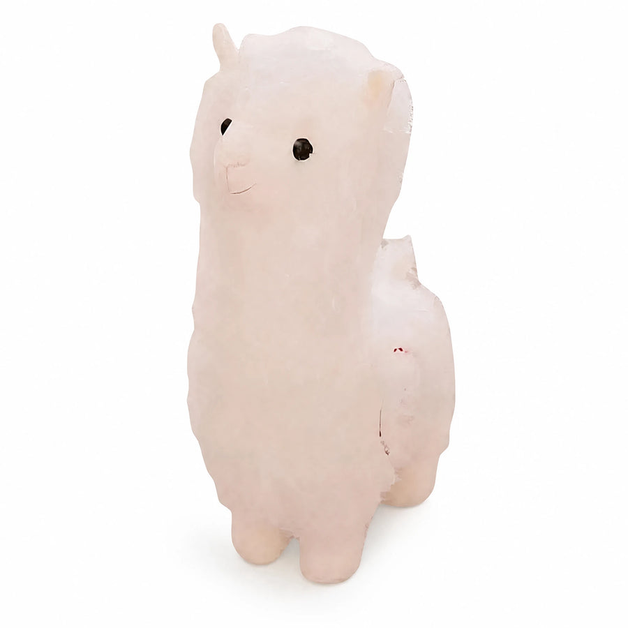Llama Plush with Soft White and Pink Fur - Fond blanc, autre angle