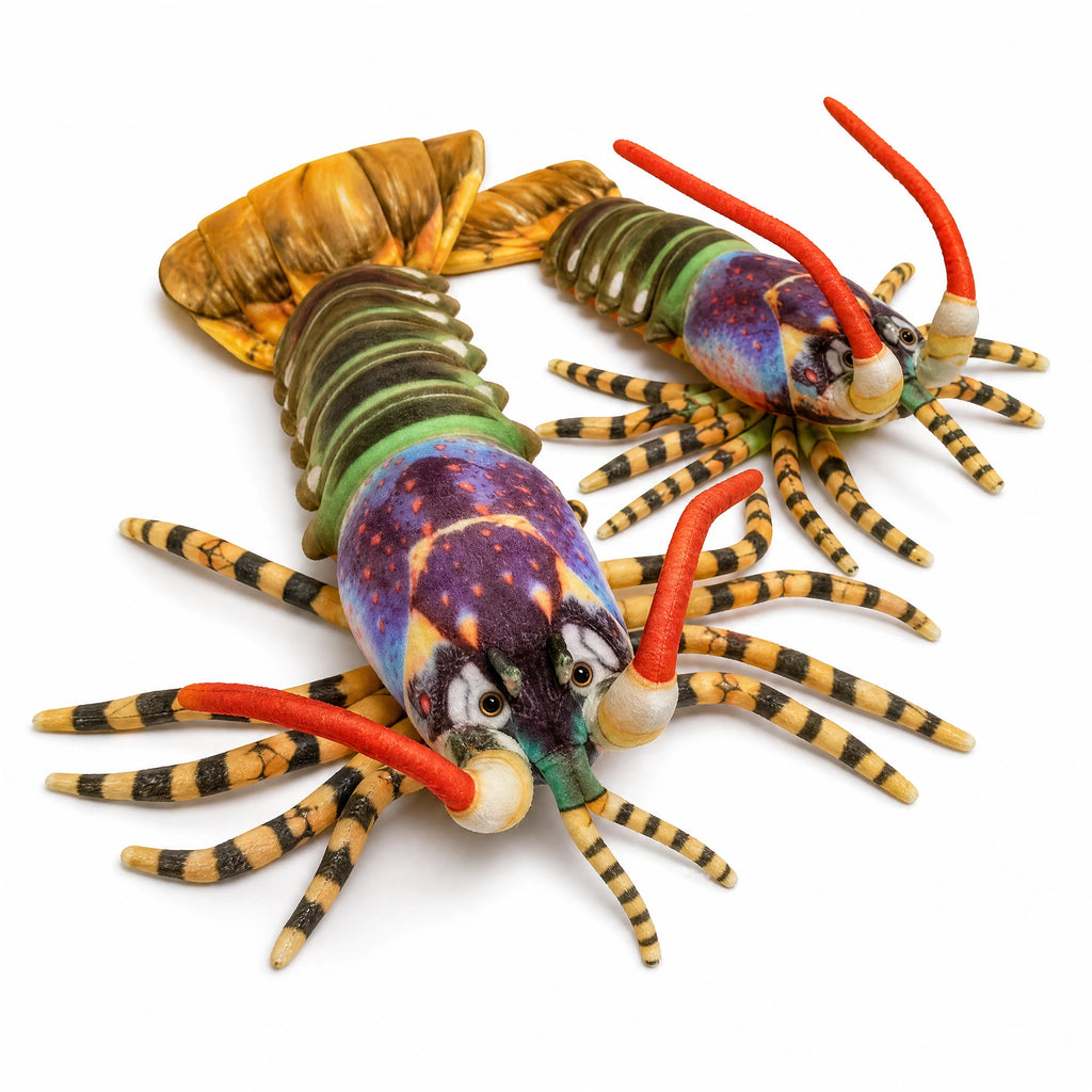 Lobster Plush with Rainbow Shell and Soft Legs - Fond blanc