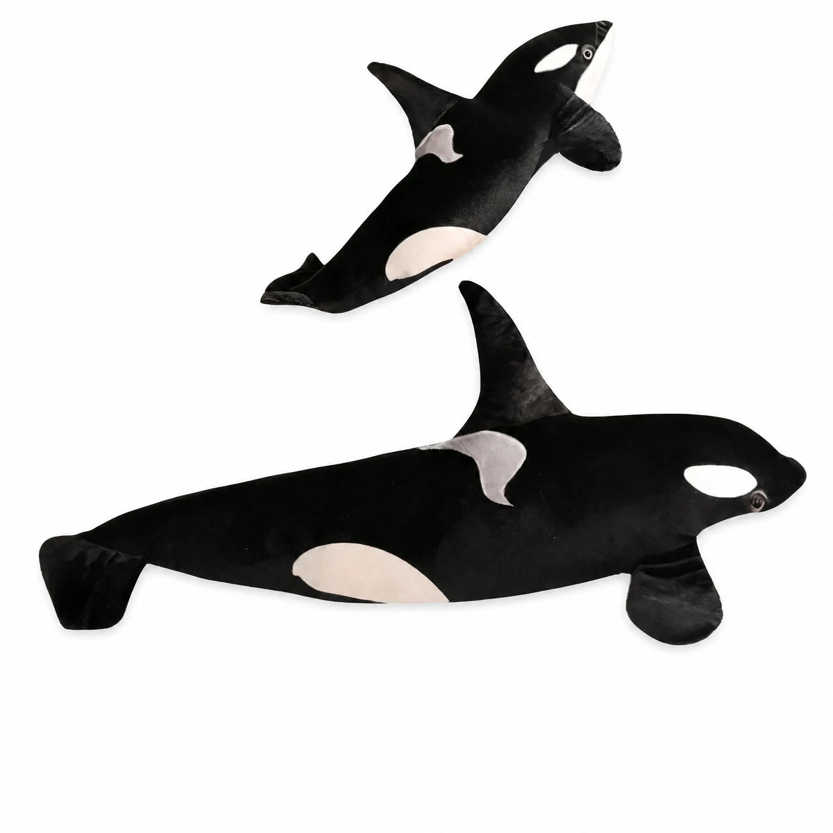 Orca Plush with Realistic Black and White Markings - Fond blanc
