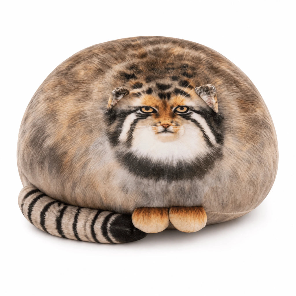 Pallas Cat Plush, Chubby Round Wildcat Design - Fond blanc