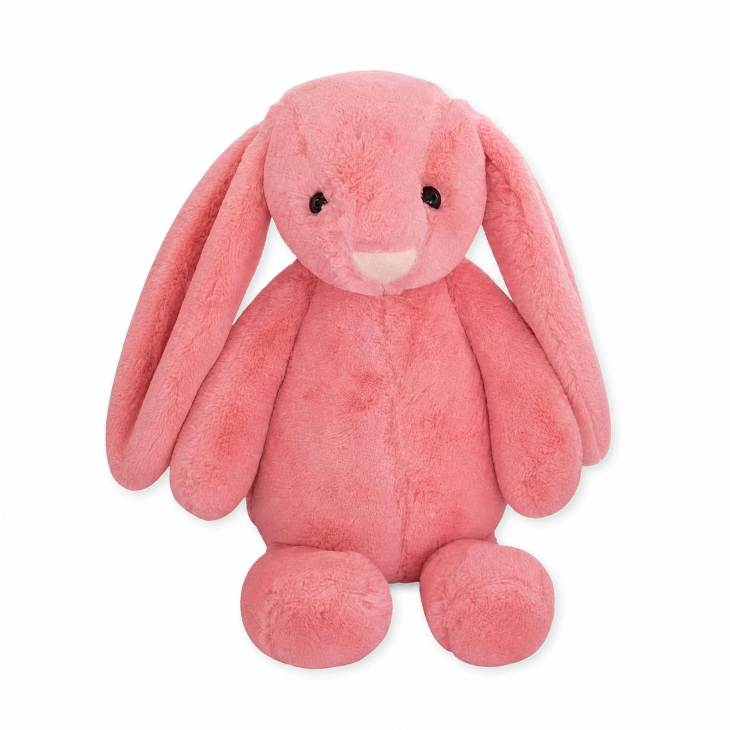 Pink Bunny Plush with Long Floppy Ears - Fond blanc