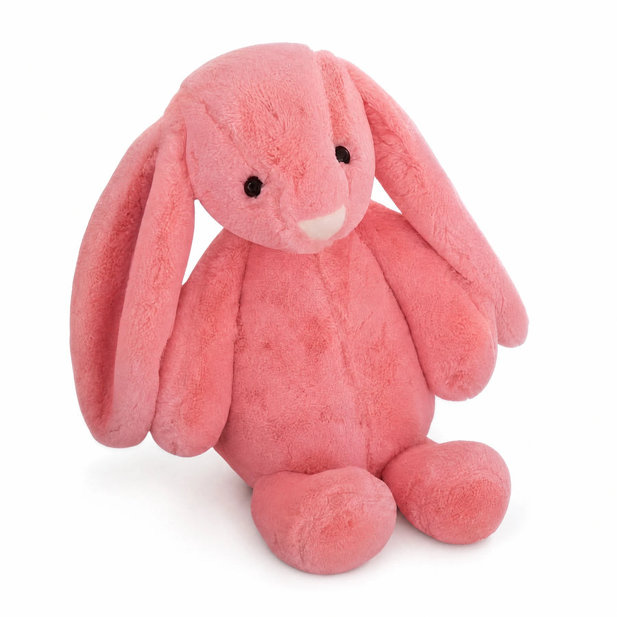 Pink Bunny Plush with Long Floppy Ears - Fond blanc, autre angle