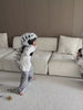 Two kids in Grey Dinosaur Skeleton Costumes stomping and roaring in the living room