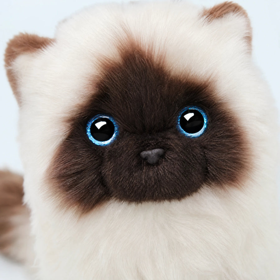 Siamese Cat Plush with Blue Eyes and Cream-Brown Fur - Détail matière