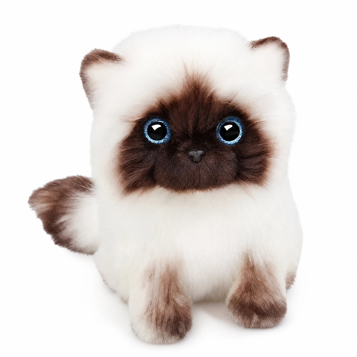 Siamese Cat Plush with Blue Eyes and Cream-Brown Fur - Fond blanc