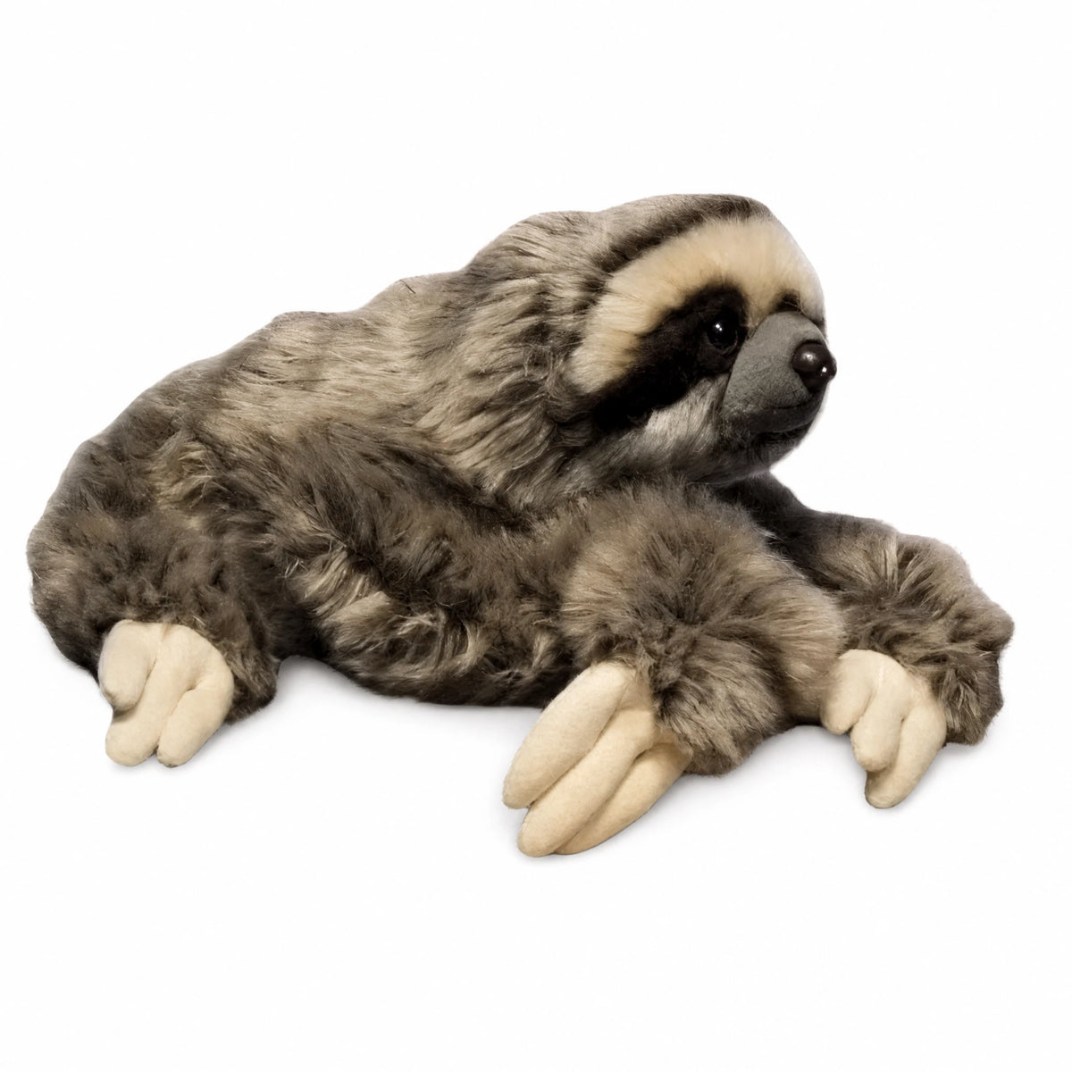 Sloth Plush with Realistic Fur and Expressive Face - Fond blanc