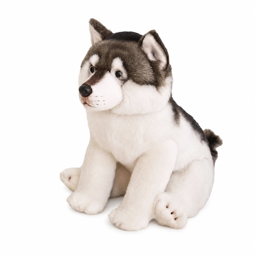Wolf Plush – Sitting Husky with Gray and White Fur - Fond blanc
